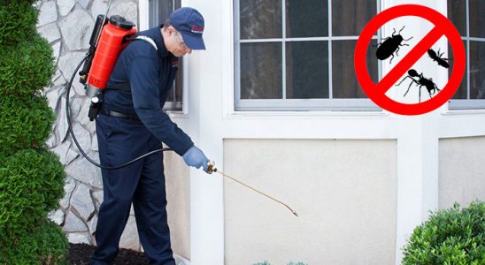 Suşehri Gümüşkurt İlaçlama böcek ilaçlama ve haşere kontrolü — ilaclama-tr.com